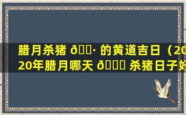 腊月杀猪 🌷 的黄道吉日（2020年腊月哪天 🐎 杀猪日子好）